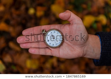 Foto stock: Pocket Watch Against Brown Background