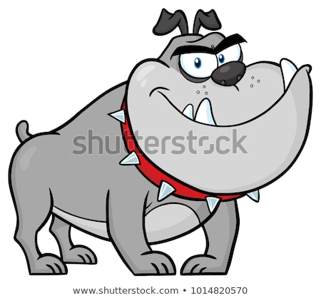 Stock foto: Angry Bulldog Dog Head Cartoon Mascot Character Gray Color