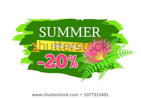 Сток-фото: Summer Big Sale Discount Off Summer Sales Advert