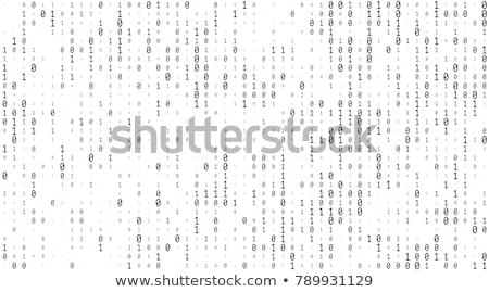 Stok fotoğraf: Binary Code Web Background