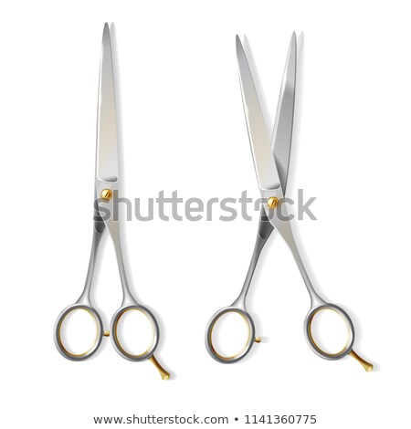 Stok fotoğraf: Scissor Vector 3d Realistic Metal Scissor Icon Opened And Closed Hairdresser Symbol Illustration
