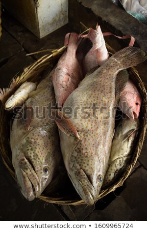 Stock foto: Woman Fisherman Fish Auction