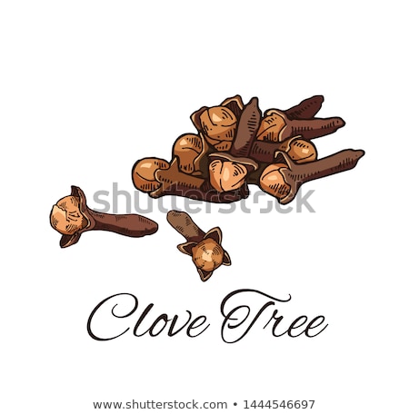 Foto d'archivio: Organic Cloves