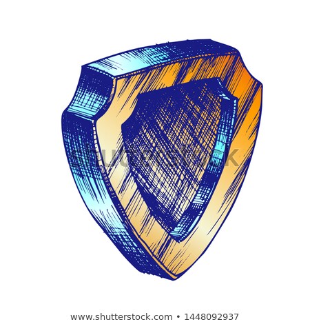 Foto d'archivio: Color Map Shield Form Pointer Gps Location Icon Vector