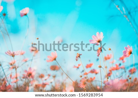 Foto stock: The Spring