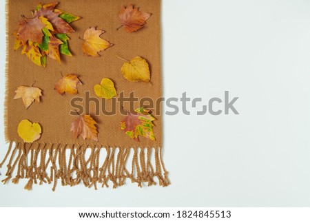 Stockfoto: Woolen Scarf On White Background Highly Detailed