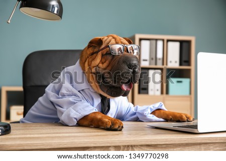 Stock photo: Office Worker Dog