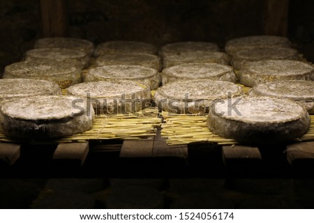 Stock photo: Traditional Auvergne Cheese