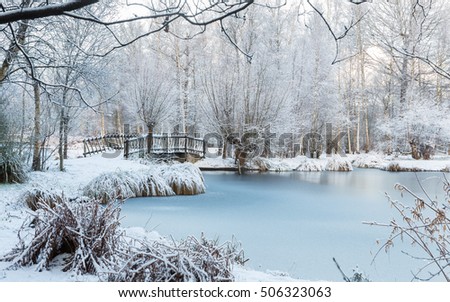 Stock fotó: Snow Tree Pond