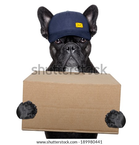 Foto stock: Mail Delivery Post Dog