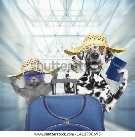 Stock photo: Dog In Airport Terminal On Vacation