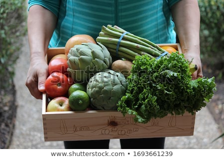 Сток-фото: Woman Carrying Basket With Healthy And Locally Produced Vegetables