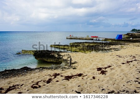 Stock photo: Snorkeling In Smith Cove