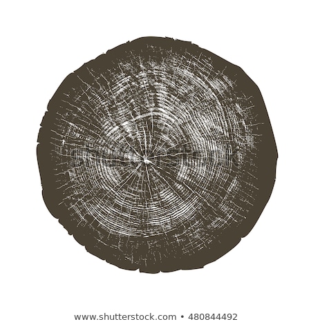 Stockfoto: Vector Wood Texture Cross Section Tree Rings Cut Slice Brown Stump Isolated On White Showing Age And