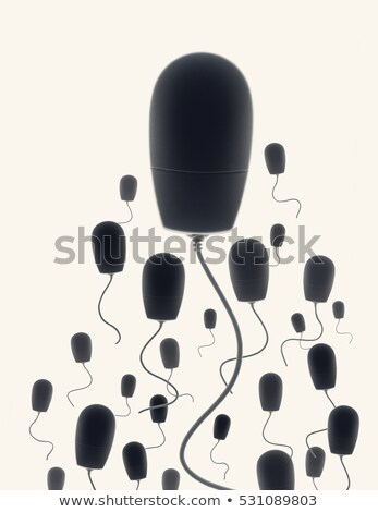 Stockfoto: Mouse Sperm