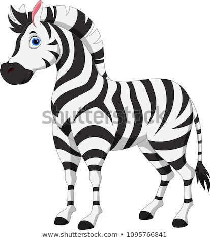 zebra cartoon zebra cartoon