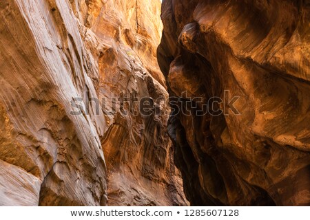 Foto stock: Deep Bend In The Virgin River At Zion National Park
