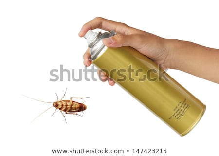 Foto d'archivio: Spraying Insecticide On Cockroach