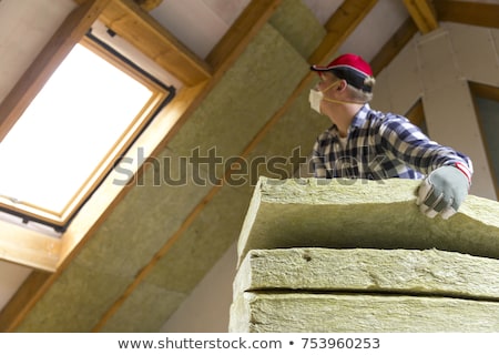 [[stock_photo]]: Thermal Image Of The Old House