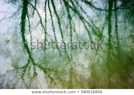 Stock photo: River Detail