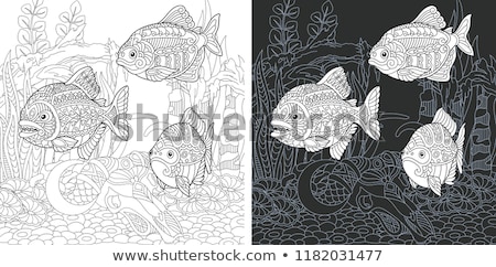 Stock photo: Predator Fish