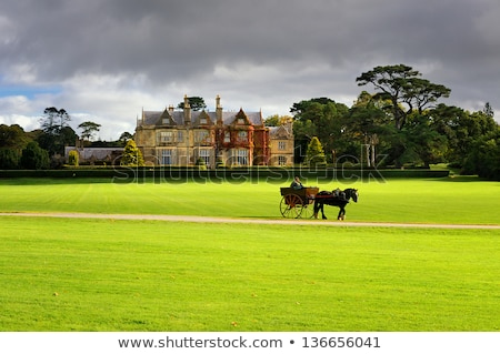 Foto stock: Muckross House And Gardens In National Park Killarney Ireland