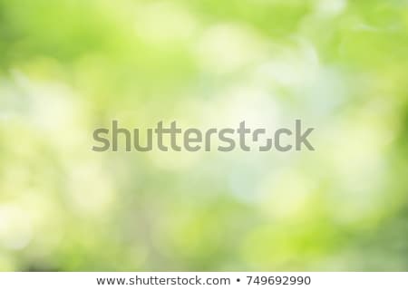 ストックフォト: Nature Background