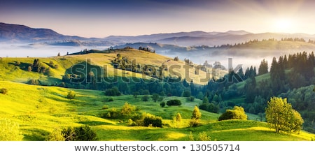 Stock photo: Summer Landscape In Carpathians