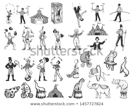 Stock photo: Juggler In The Circus