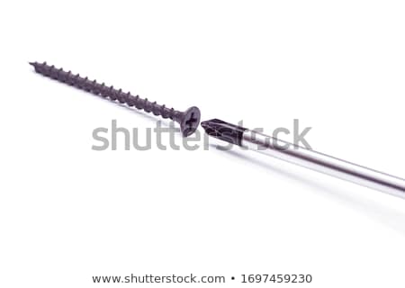 Stock foto: Screwdriver With A Screw