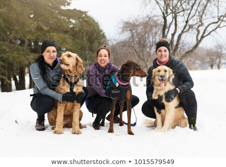 ストックフォト: Canicross Woman Group Have Fun In Winter Season