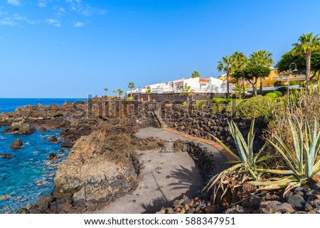 Stok fotoğraf: Green Cactus Plants On Coastal Promenade Along Ocean In Playa Bl