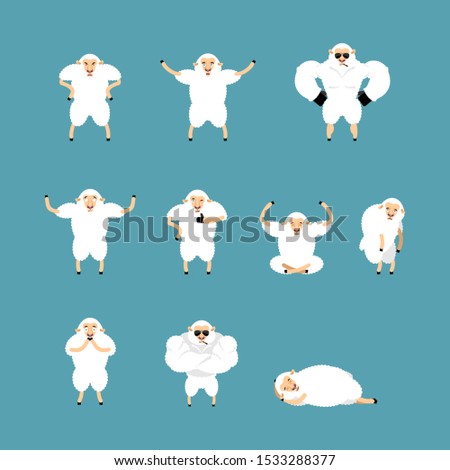 [[stock_photo]]: Sheep Set Poses And Motion Farm Animal Happy And Yoga Ewe Slee