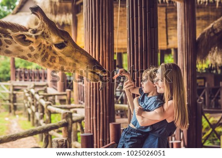 Сток-фото: Happy Mother And Son Watching And Feeding Giraffe In Zoo Happy Family Having Fun With Animals Safar