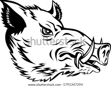 Сток-фото: Wild Boar Sus Scrofa Wild Swine Common Wild Pig Head Side Mascot Black And White