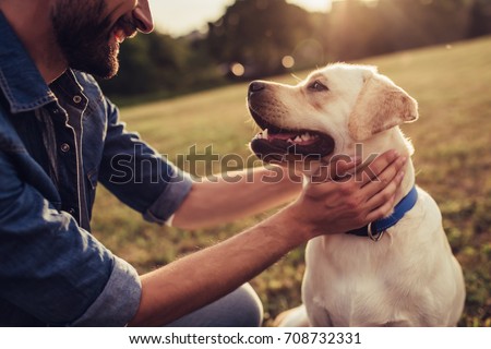 [[stock_photo]]: Dog And Owner
