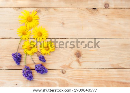 Foto stock: Spring Background Of Blank Wood Frame Yellow Dandelion Flowers Young Green Leaves On Light Blue Wo