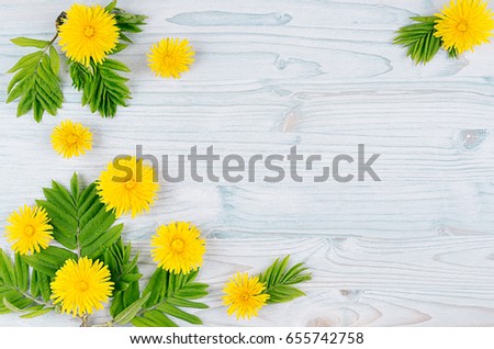 Stock fotó: Decorative Spring Frame Of Yellow Dandelion Flowers And Green Leaves On Light Blue Wooden Board Cop