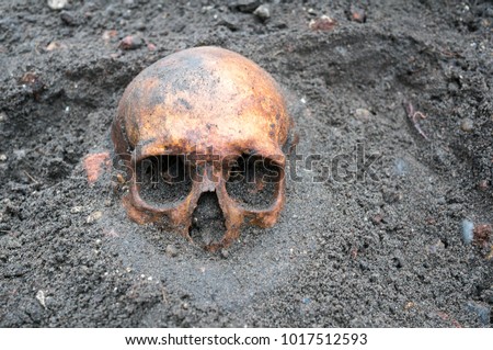 Stockfoto: Archaeological Excavation With Skull Still Half Buried In The Ground