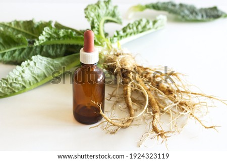 Сток-фото: Preparation Of Alcohol Tincture From Wild Teasel Root In A Jar