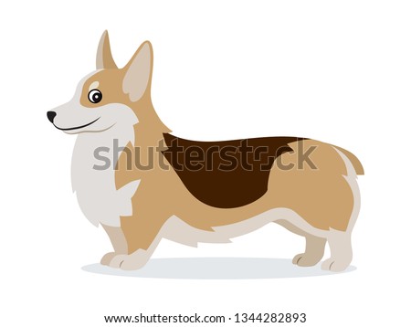 Stock fotó: Cute Corgi Icon Small Playful Dog With Short Paws Isolated Domestic Animal Pet Vector Illustrati