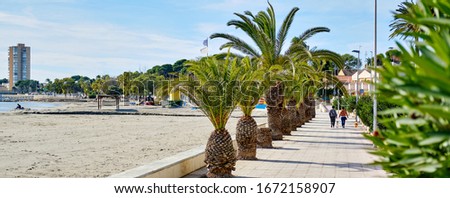 ストックフォト: San Pedro Del Pinatar Palm Trees Lined Promenade Leading Along S