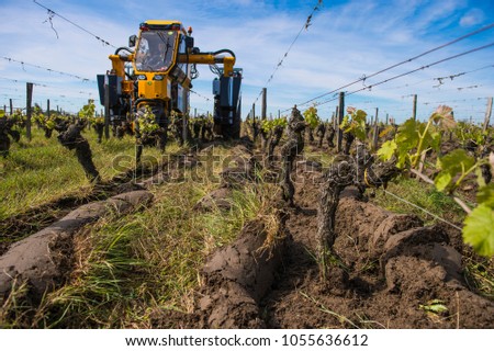 ストックフォト: Agricultural Machine Tractor Plowing In A Vineyard Between The R