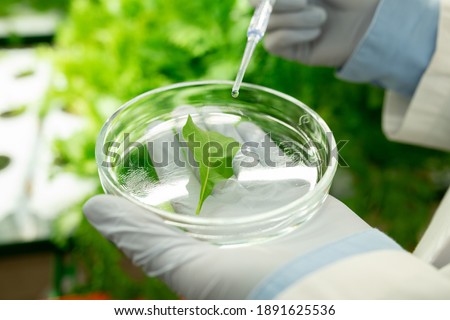 Stockfoto: Gloved Hand Of Contemporary Biologist Holding Flask With Plant Into Box