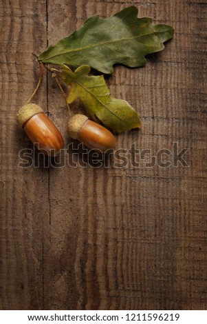 [[stock_photo]]: Old Grunge Frame With Autumn Oak Leaves And Acorns On The Abstra