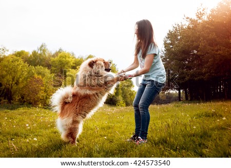Foto stock: Dog And Owner On Summer Vacation