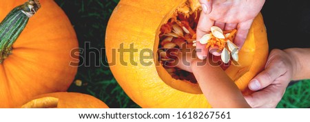 Сток-фото: A Close Up Of Daughter And Father Hand Who Pulls Seeds And Fibrous Material From A Pumpkin Before Ca