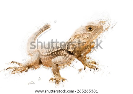 Foto stock: Sketch Illustration Of A Lizard Isolated Contains Clipping Pat