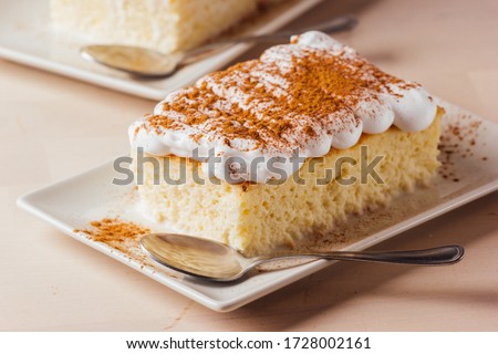 Foto stock: Three Milk Cake Tres Leches Cake With Coconut Traditional Dessert Of Latin America