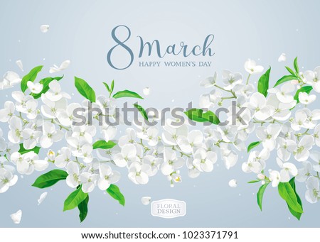 Stok fotoğraf: Bloosom Hydrangea - Soft Pink Flower On A White Background Floral Background